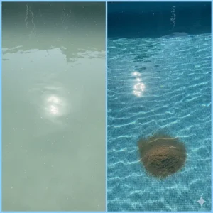 A close-up shot of a swimming pool with a cloudy, murky appearance before flocculant is applied, and a second image showing the same pool after flocculant has been used, now sparkling clear.