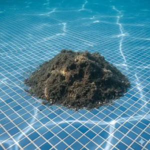 An image showing the large, visible clumps of sediment and debris that have settled at the bottom of a pool after the application of flocculant.