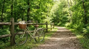 An extended width saddles setup on a comfort bike featuring an oversized bike seat cushion for long weekend rides.